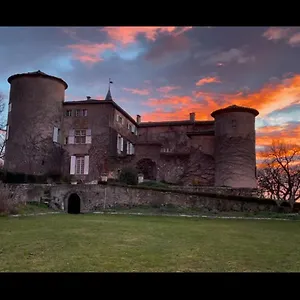 Chateau De Montcuquet , Lautrec France